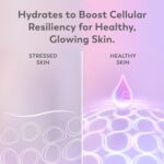 Olay Super Serum - Niacinamide, Vitamin C & E, Collagen Peptide, AHA - 5-in-1 Skin Care Benefits for Face - Healthy Glow, Brightening, Hydrating, Smoothing, Firming, Evens Tone, Anti-Aging, 1.7 Oz