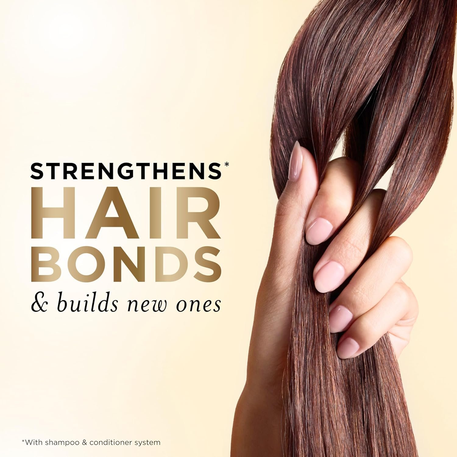 pantene daily moisture renewal shampoo & conditioner