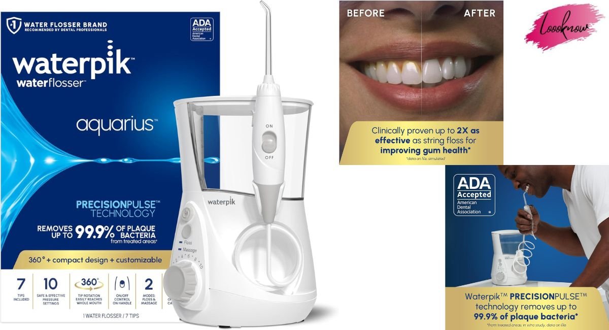 Waterpik Aquarius 1